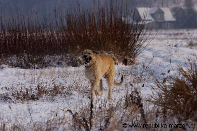 CRW_6357