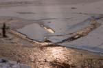 CRW_6382