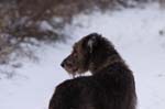 CRW_6387