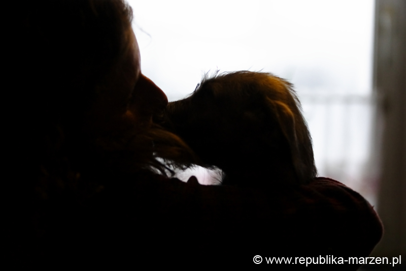CRW_6424