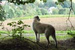 IMG_5716