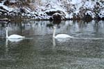 IMG_1730