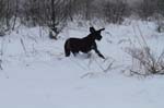 IMG_8194
