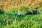 IMG_4775