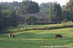 CRW_7087