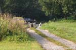 CRW_7089