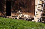 CRW_7094