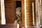 CRW_7137
