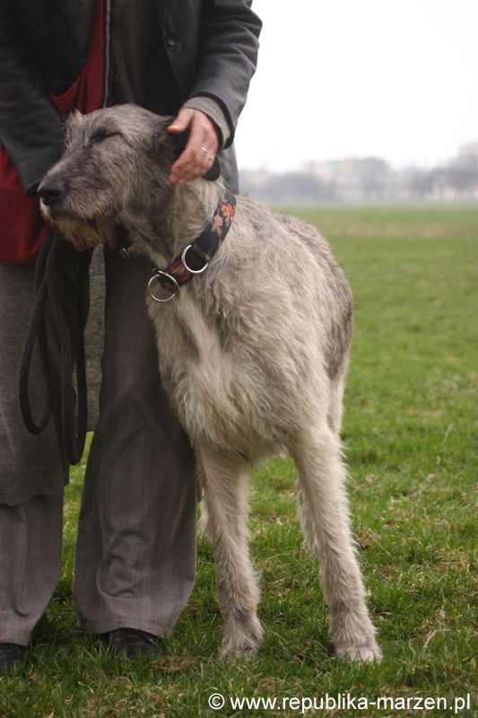 CRW_7465.jpg