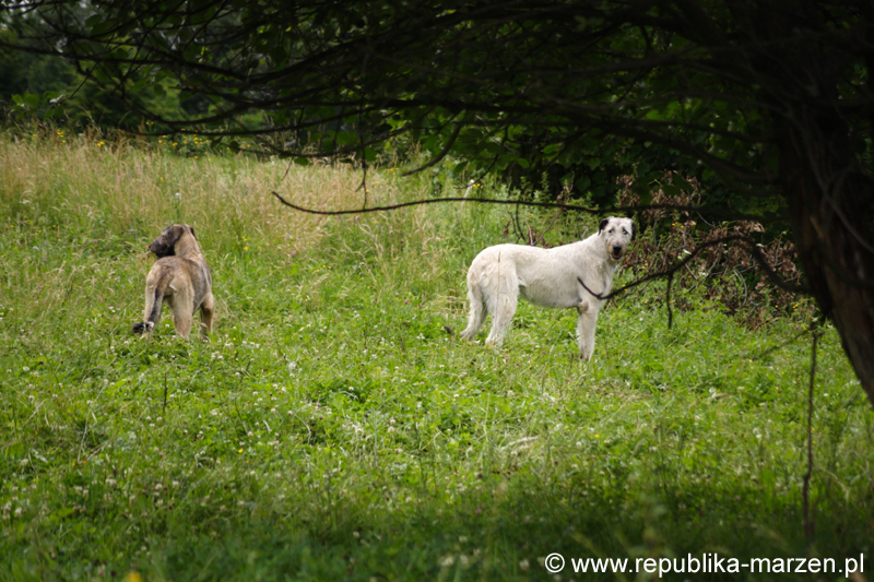 CRW_7709