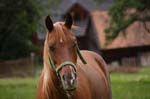 CRW_7700