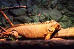 20130502_02