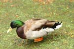 20130502_25