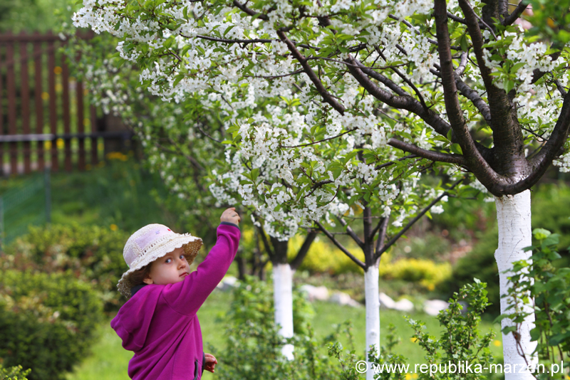 20130505_05