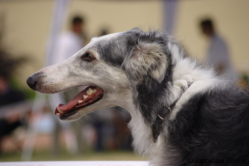 04_CRW_6428