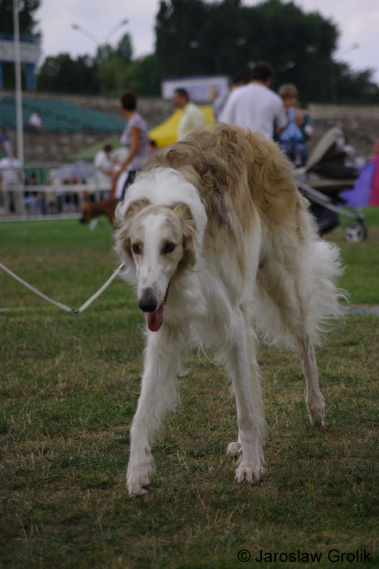 10_CRW_6444