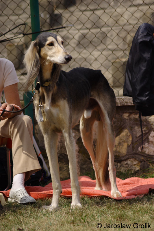 13_CRW_6453