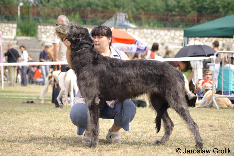 20_BLACKIE Stadlewood