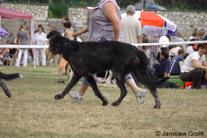 23_BLACKIE_3