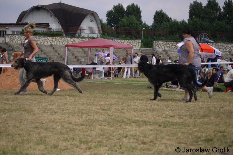 24_CLEGGAN, BLACKIE