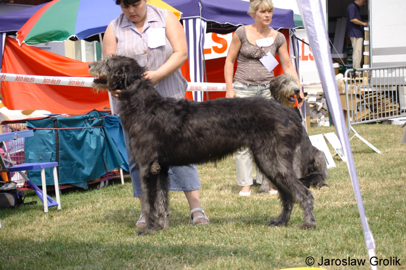27_BLACKIE_1