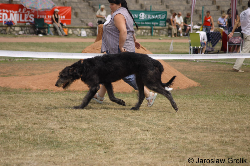 28_BLACKIE_2