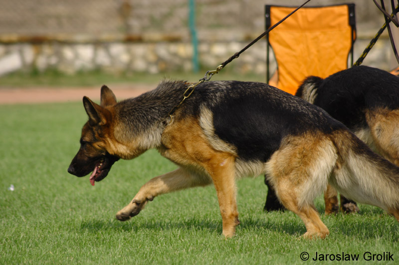 48_CRW_6545