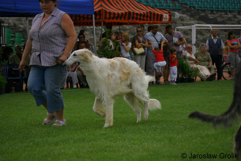 60_CRW_6598