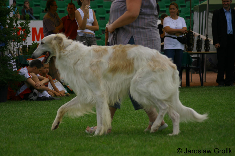 61_CRW_6600