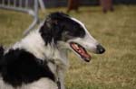 01_CRW_6421