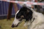 02_CRW_6424