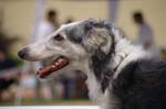 04_CRW_6428