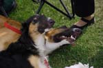 05_CRW_6433