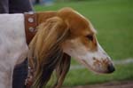 09_CRW_6442