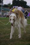 10_CRW_6444