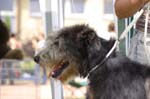 14_CRW_6458