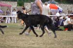 23_BLACKIE_3