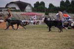 24_CLEGGAN, BLACKIE