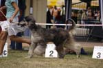36_CRW_6513
