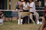 41_CRW_6523