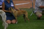 50_CRW_6558