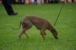54_CRW_6581