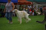 60_CRW_6598