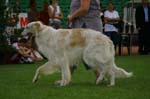 61_CRW_6600