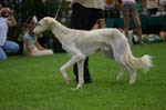 65_CRW_6615