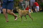 67_CRW_6617