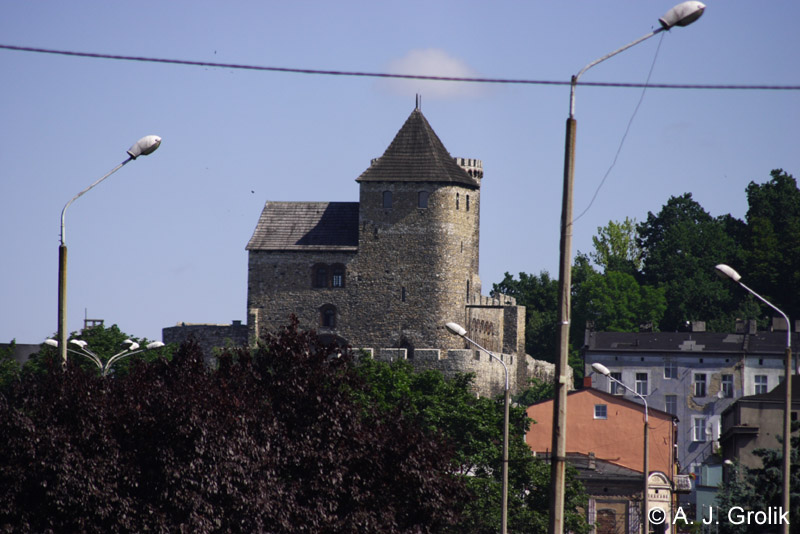 CRW_5260