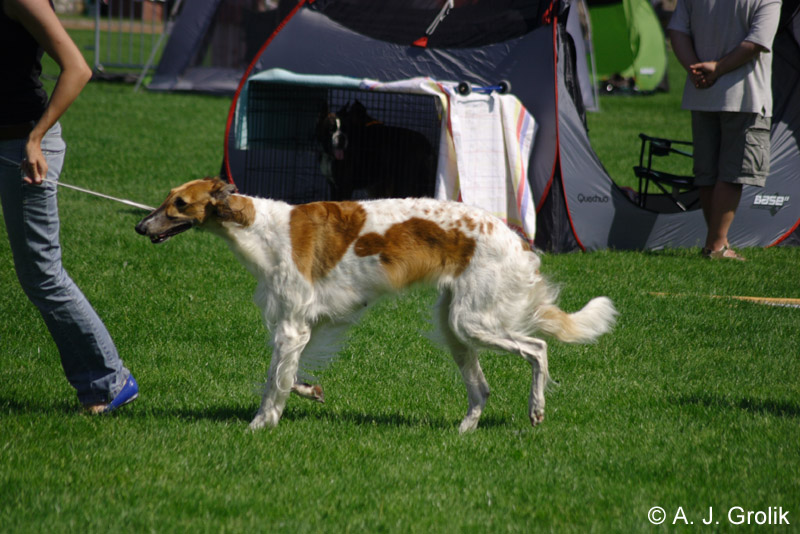 CRW_5338