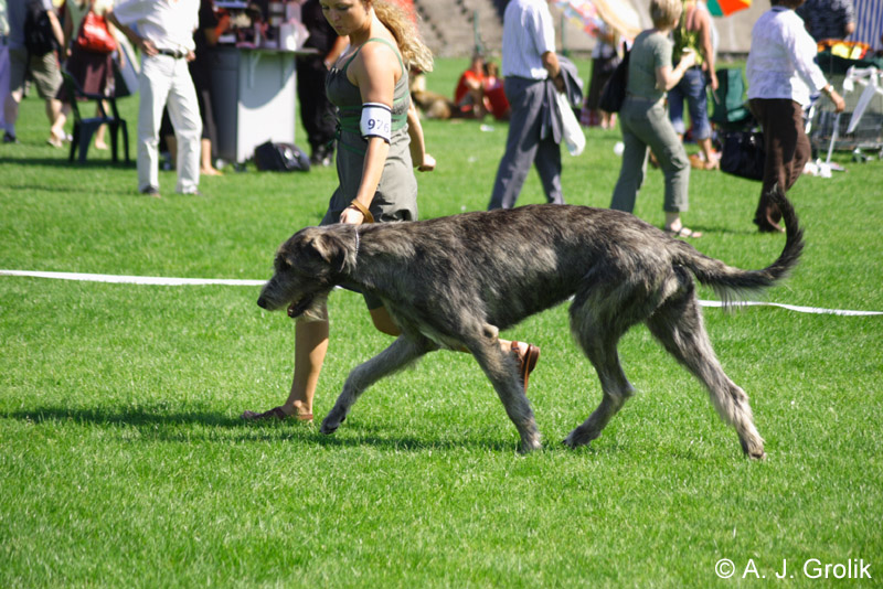 CRW_5349