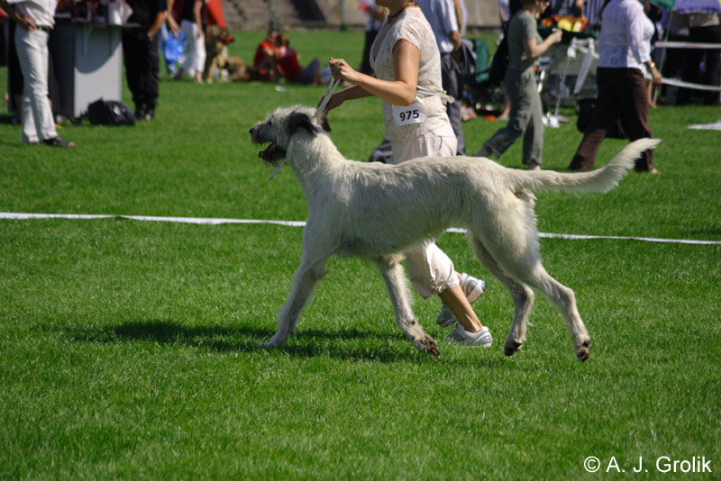 CRW_5350